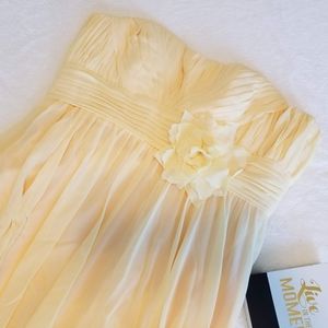 Bari Jay dress/bridesmaid dress